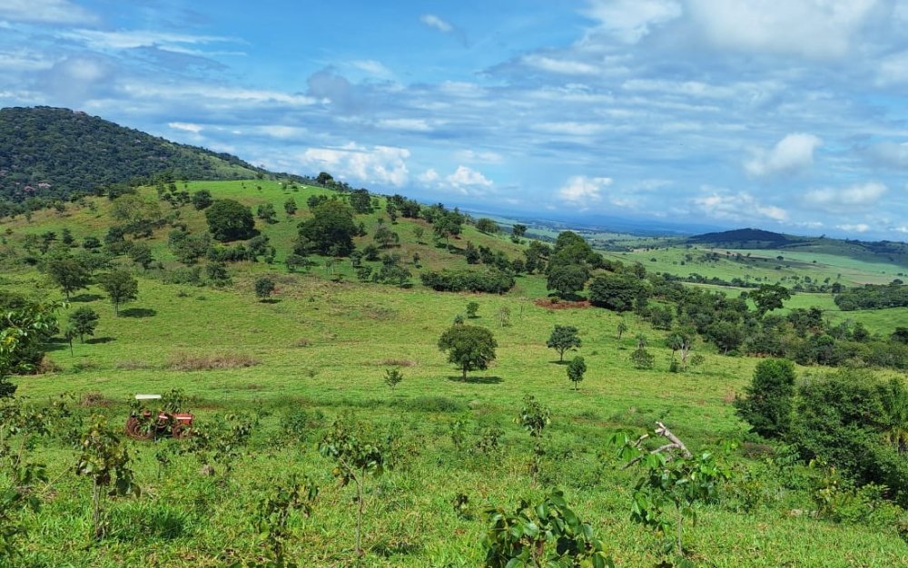 Fazenda - Venda - Zona Rural - Corumb de Gois - GO