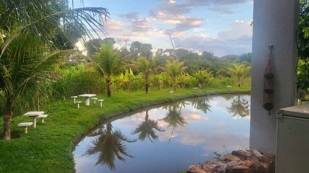Stio - Venda - Rural - Alexnia - GO